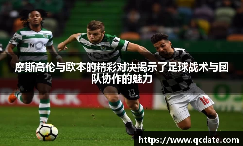 OB体育官网入口